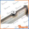 Filtres à Particules Diesel EURO4 pour RENAULT | DPF-RE-002, 095-220